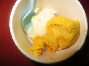 Magnolia Mango Ice cream