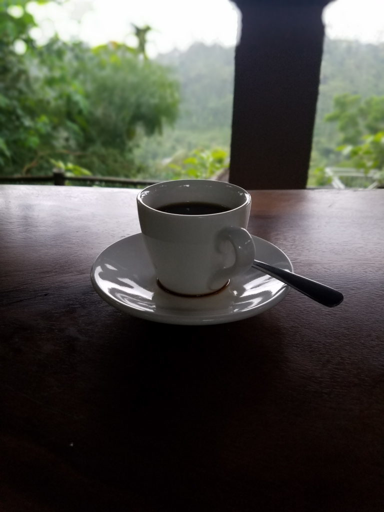 Lewak-Tasting-Coffee.